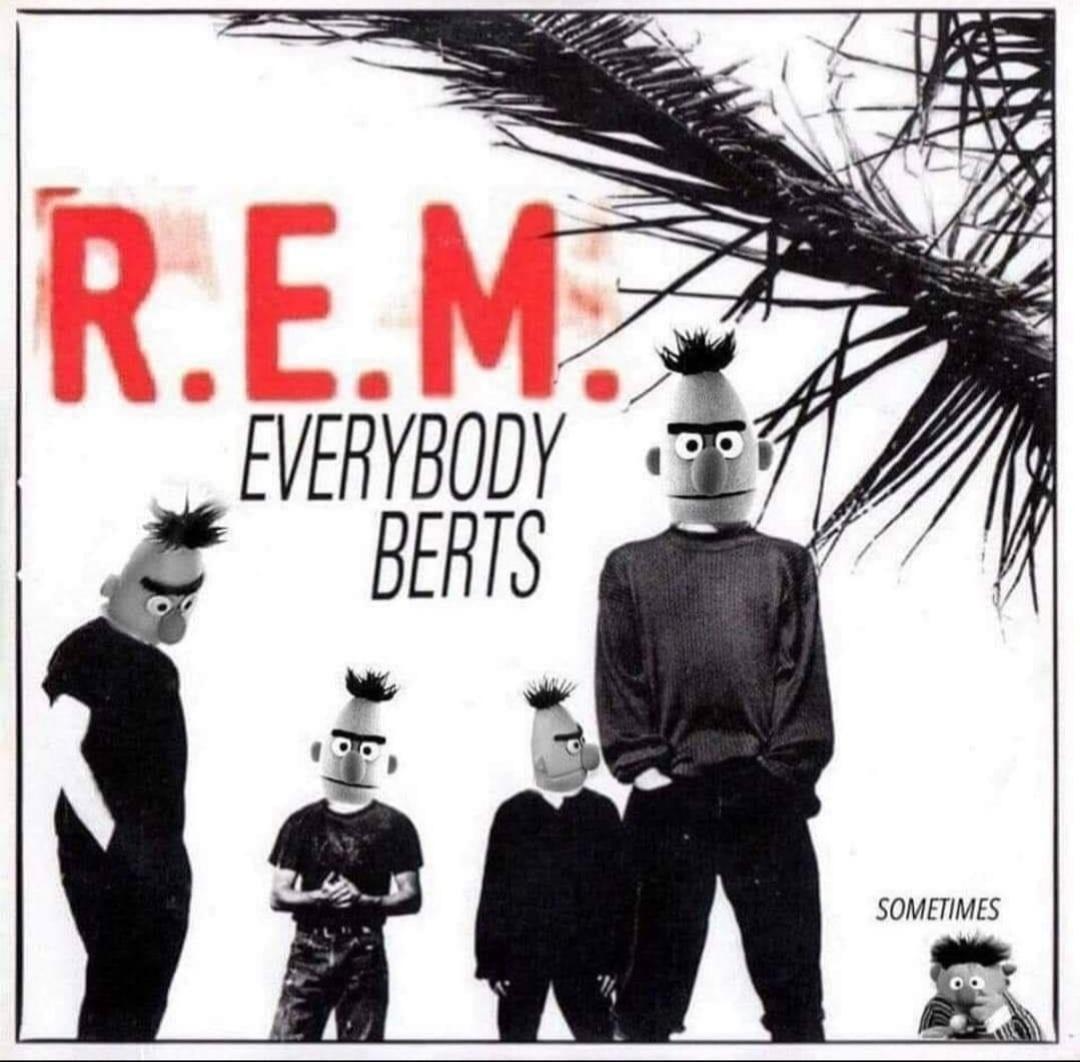 funny memes and cool pics - everybody hurts by rem - R.E.M. Everybody Berts Sometimes