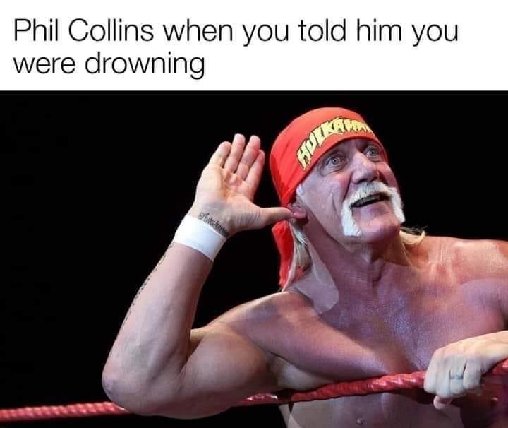 funny memes and cool pics - hulk hogan - Phil Collins when you told him you were drowning Avako Huert