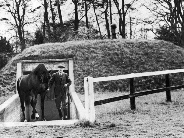 Nearco, a horse worth a ton of money, comes out of his private bombshelter, 1941. To people that wanted him to share it with people he said "Neigh, neigh".