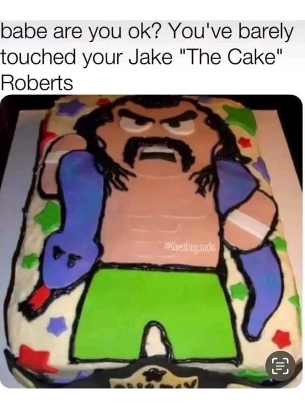 Cake - babe are you ok? You've barely touched your Jake "The Cake" Roberts 10 wrestling sucks