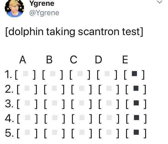 number - Ygrene dolphin taking scantron test A B C D D E 1. 2. 3. 4. 5.