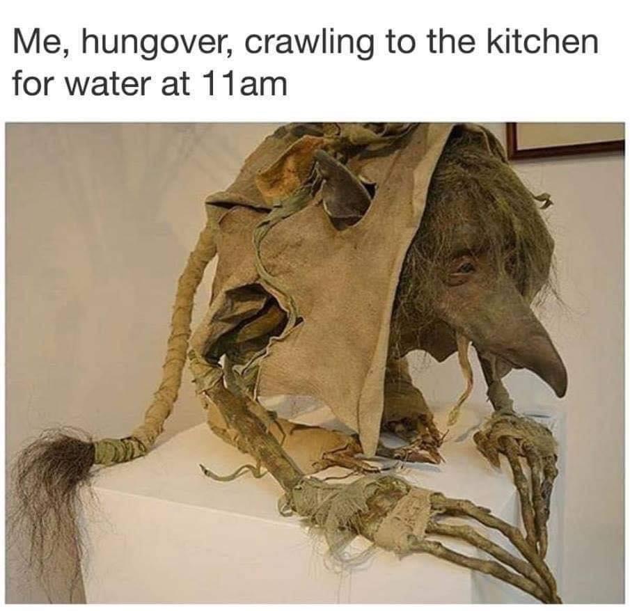 fauna - Me, hungover, crawling to the kitchen for water at 11am