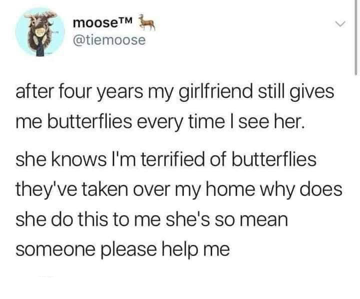 dank memes - special financial operation - moose after four years my girlfriend still gives me butterflies every time I see her. she knows I'm terrified of butterflies they've taken over my home why does she do this to me she's so mean someone please help