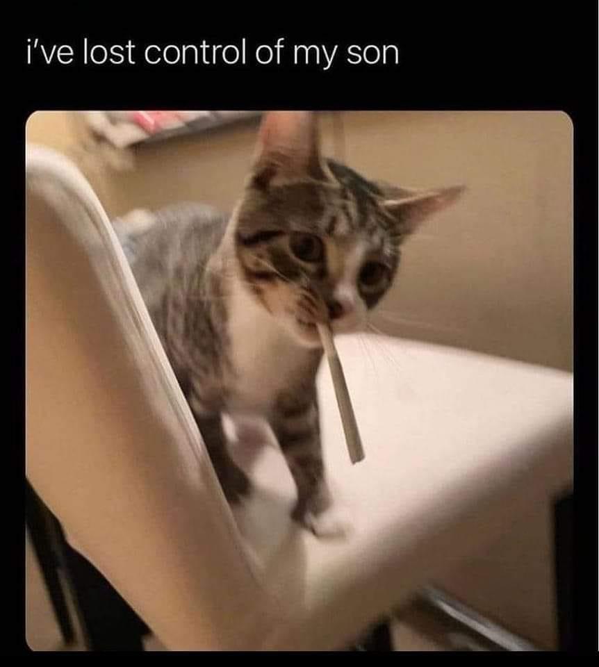 dank memes - photo caption - i've lost control of my son