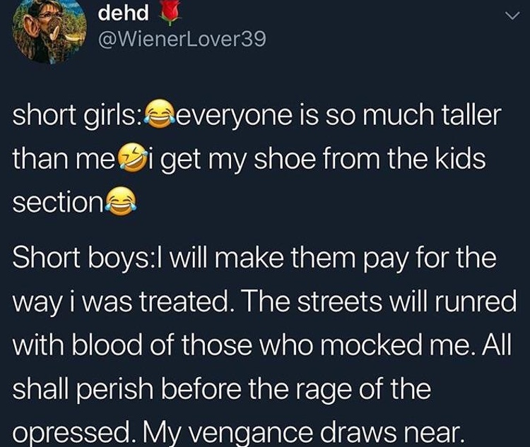 funny tweets - atmosphere - dehd short girls everyone is so much taller than mei get my shoe from the kids section Short boysI will make them pay for the way i was treated. The streets will runred with blood of those who mocked me. All shall perish before