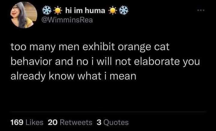 funny tweets - have a dark sense of humor - hi im huma too many men exhibit orange cat behavior and no i will not elaborate you already know what i mean 169 20 3 Quotes