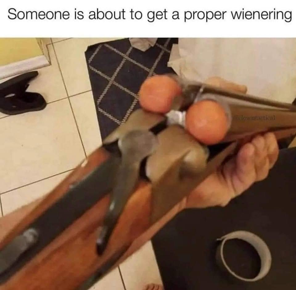funny memes - Internet meme - Someone is about to get a proper wienering O