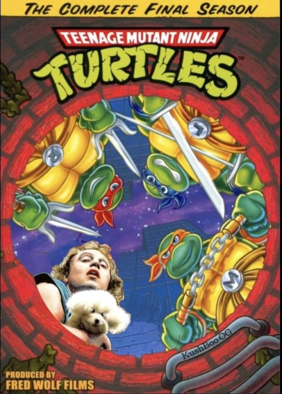 funny memes - teenage mutant ninja turtles season 10 - The Complete Final Season Teenage Mutant Ninja Turtles Produced By Fred Wolf Films Kush Boo Og