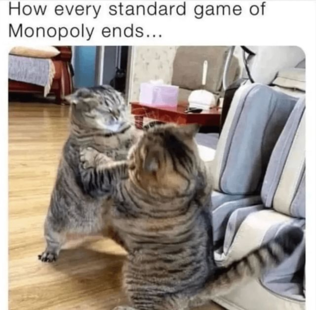 funny memes - Cat - How every standard game of Monopoly ends...