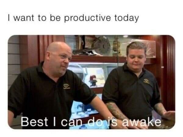 funny memes - photo caption - I want to be productive today Best I can do is awake