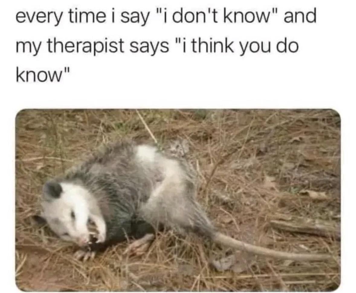 every time i say i don t know and my therapist says i think you do - every time i say "i don't know" and my therapist says "i think you do know"