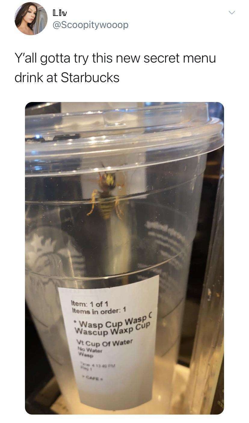dank memes - wasp no water - Liv Y'all gotta try this new secret menu drink at Starbucks Item 1 of 1 Items in order 1 Wasp Cup Wasp C Wascup Waxp Cup Vt Cup Of Water No Water Wasp 4 13 49 Pm
