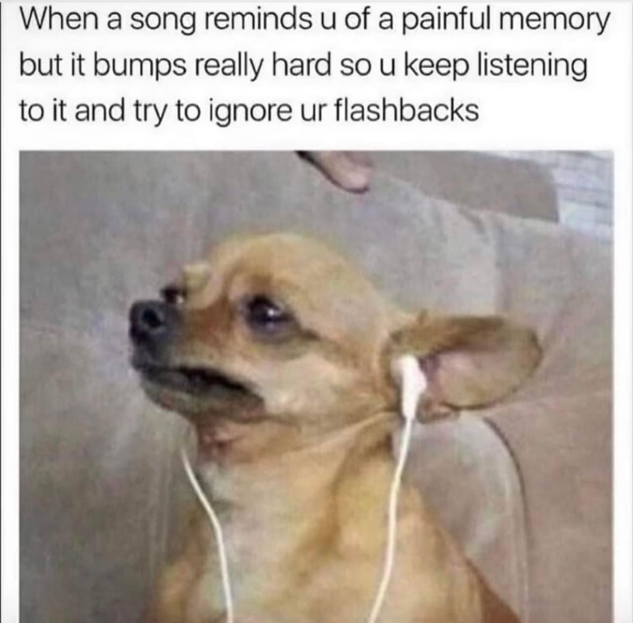 dank memes - dog - When a song reminds u of a painful memory but it bumps really hard so u keep listening to it and try to ignore ur flashbacks