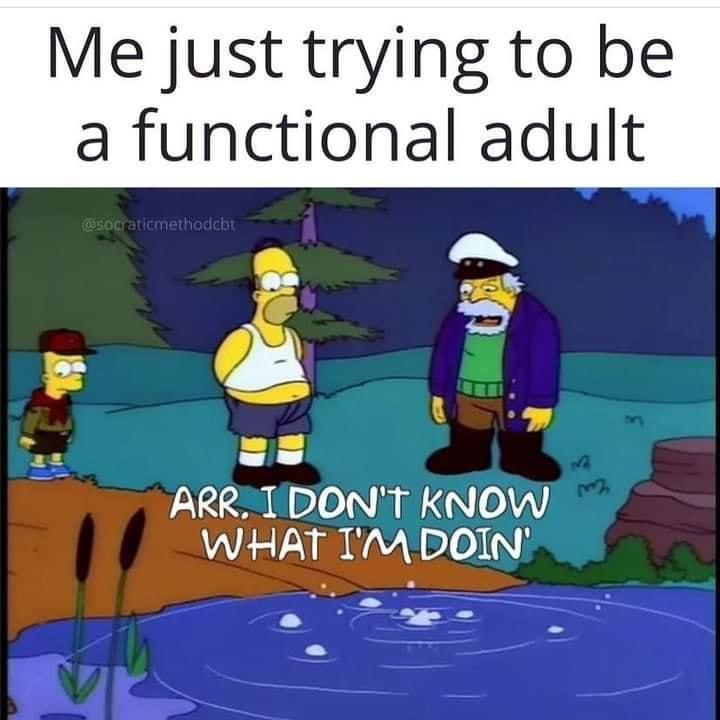 dank memes - simpsons i don t know what i m doing gif - Me just trying to be a functional adult Arr. I Don'T Know What I'M Doin 3 32