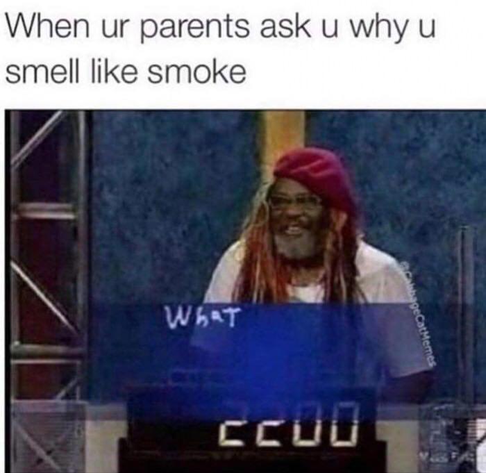 fresh memes - album cover - When ur parents ask u why u smell smoke What Ccoo acabbageCat Memes
