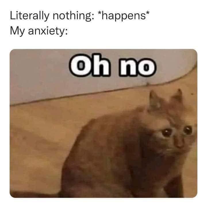 funny memes and pics - photo caption - Literally nothing happens My anxiety Oh no