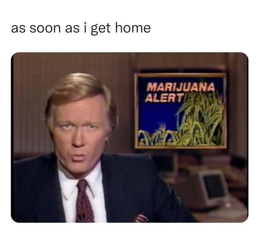 funny memes and pics - presentation - as soon as i get home Marijuana Alert Azak