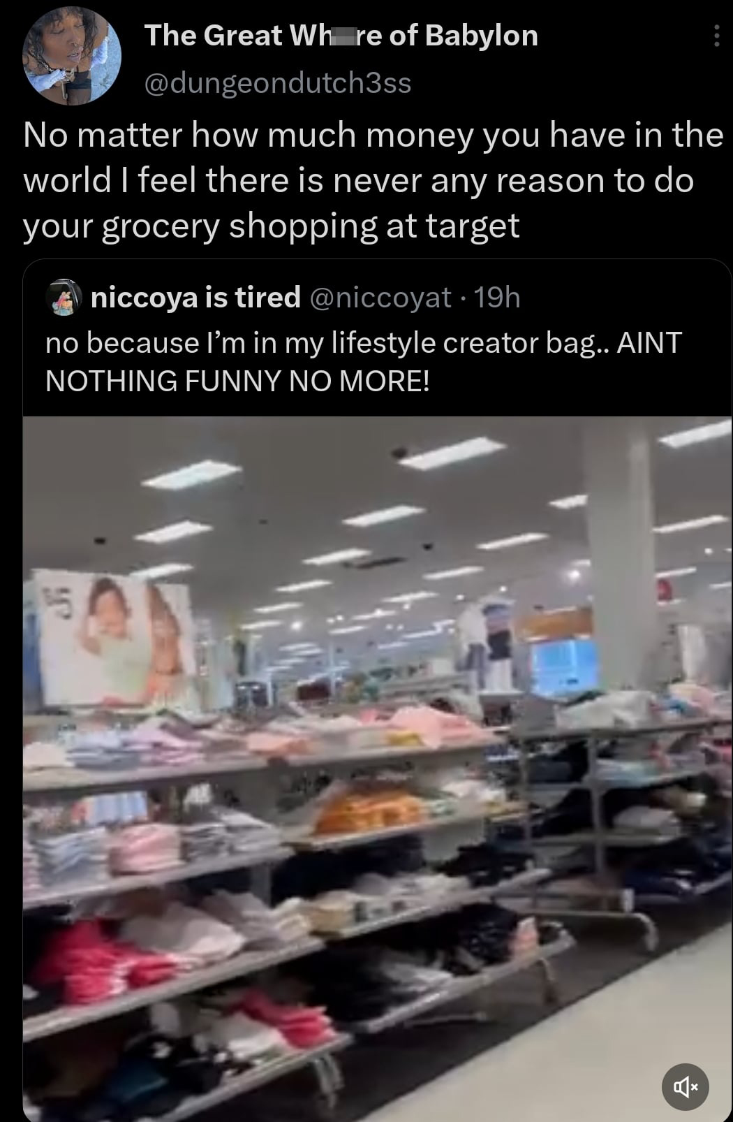 funny tweets and memes - retail - The Great Whre of Babylon No matter how much money you have in the world I feel there is never any reason to do your grocery shopping at target niccoya is tired 19h no because I'm in my lifestyle creator bag.. Aint Nothin