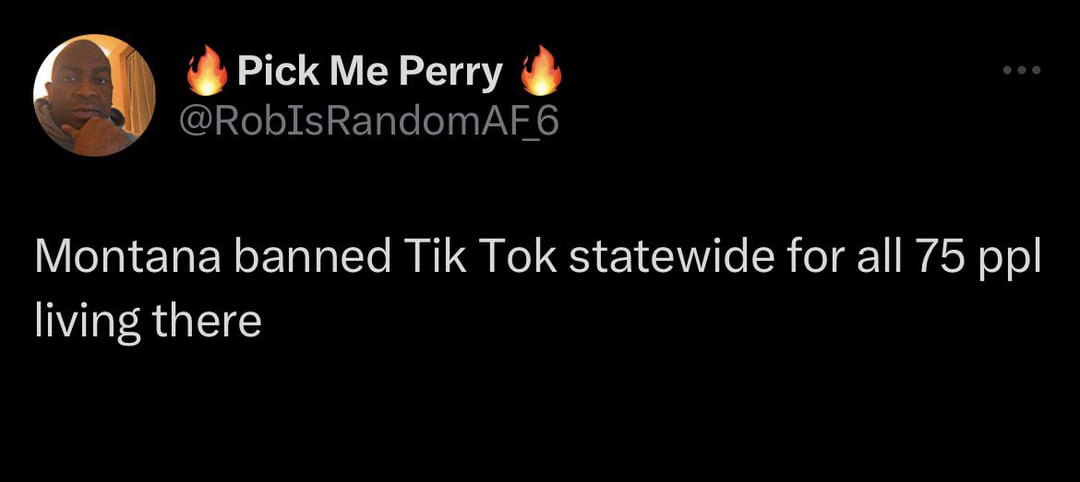 funny tweets and memes - atmosphere - Pick Me Perry Montana banned Tik Tok statewide for all 75 ppl living there