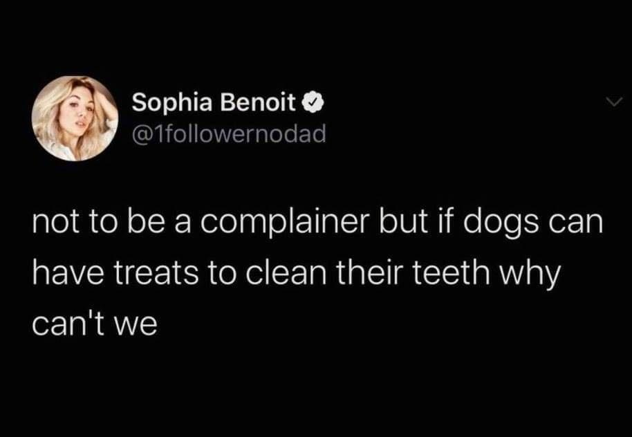 funny tweets and memes - Internet meme - Sophia Benoit not to be a complainer but if dogs can have treats to clean their teeth why can't we
