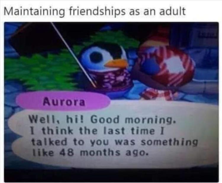 funny memes - photo caption - Maintaining friendships as an adult Aurora Well, hi! Good morning. I think the last time I talked to you was something 48 months ago.