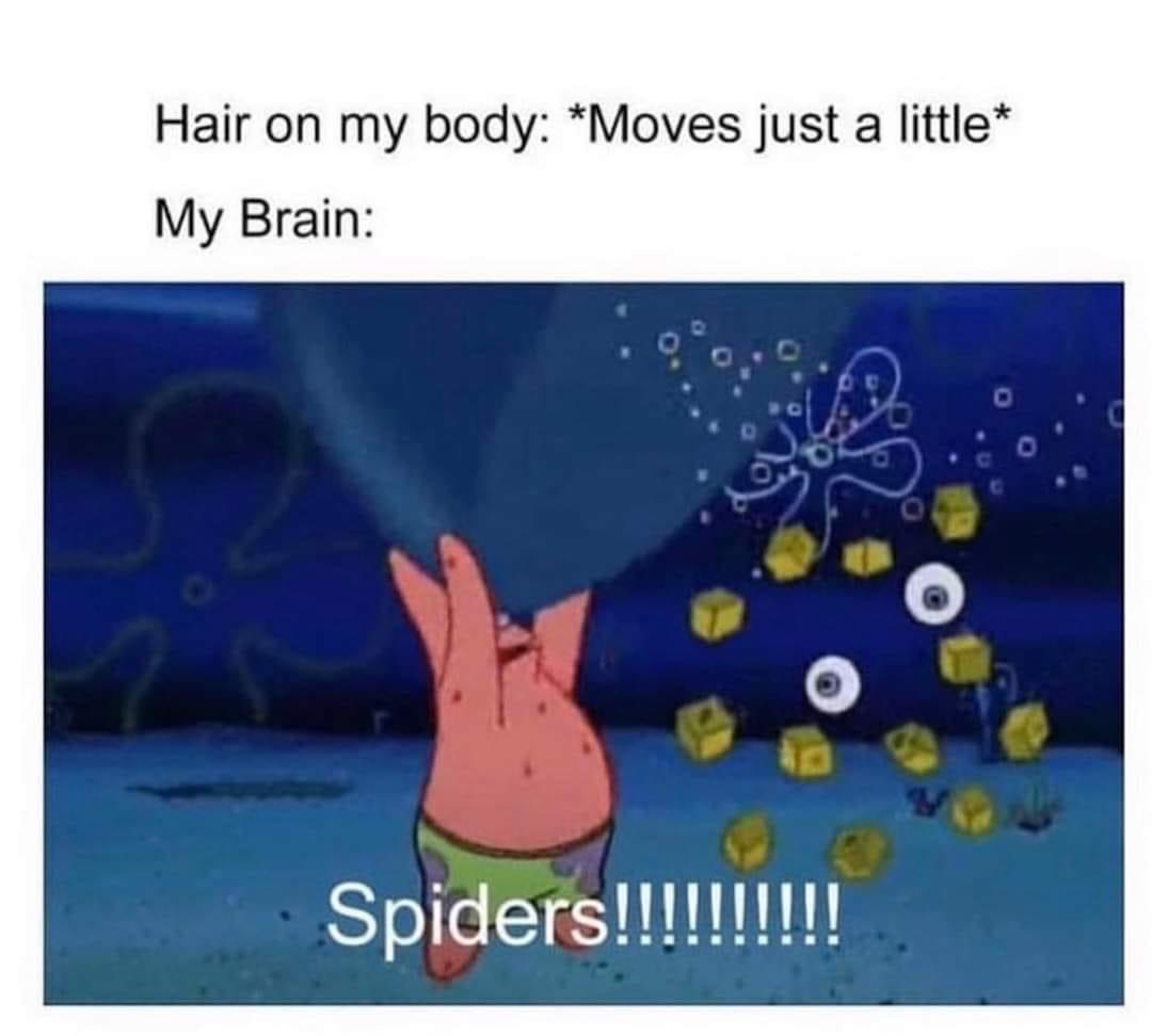funny memes - zócalo - Hair on my body Moves just a little My Brain Spiders!!!!!!!!!!