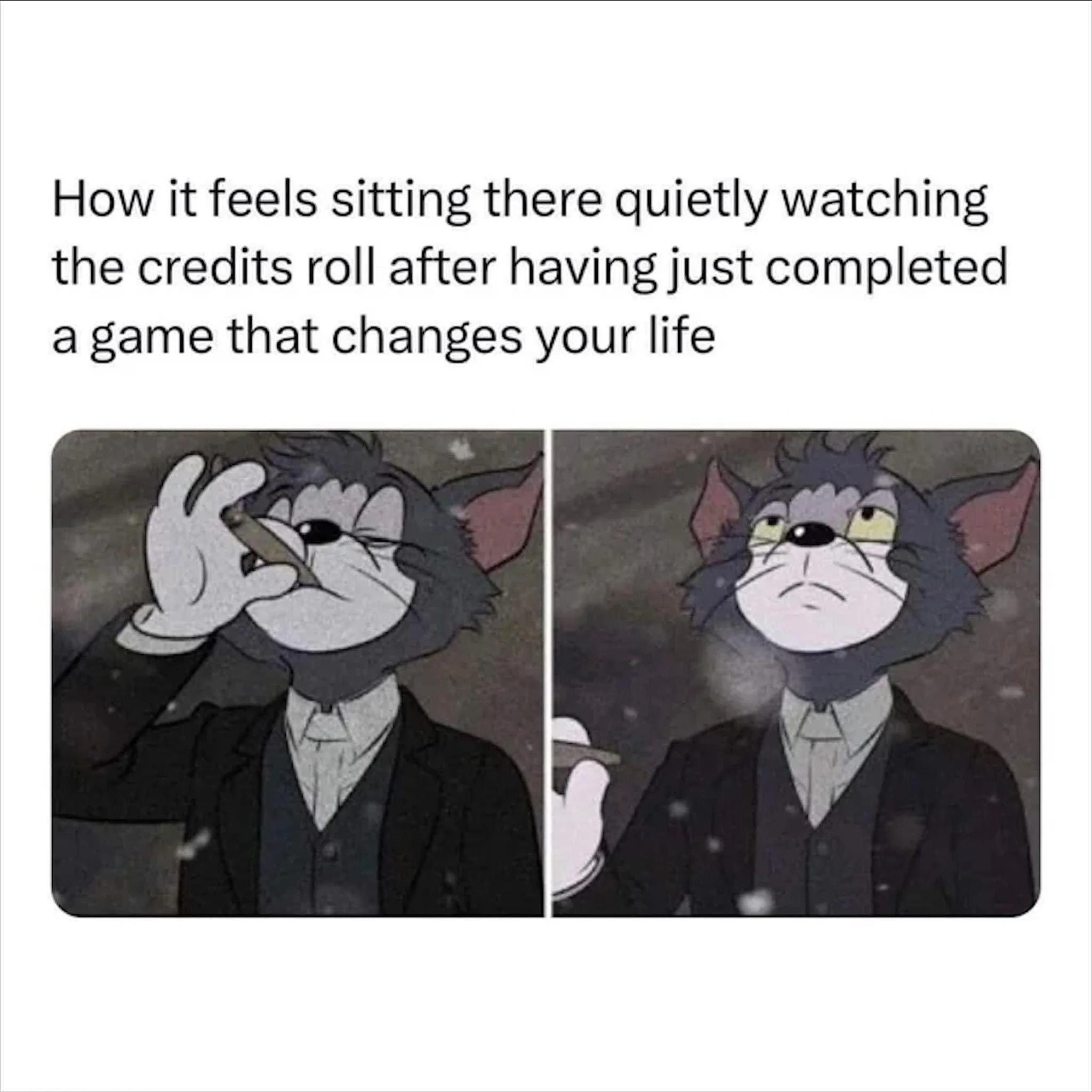 funny memes - cartoon - How it feels sitting there quietly watching the credits roll after having just completed a game that changes your life