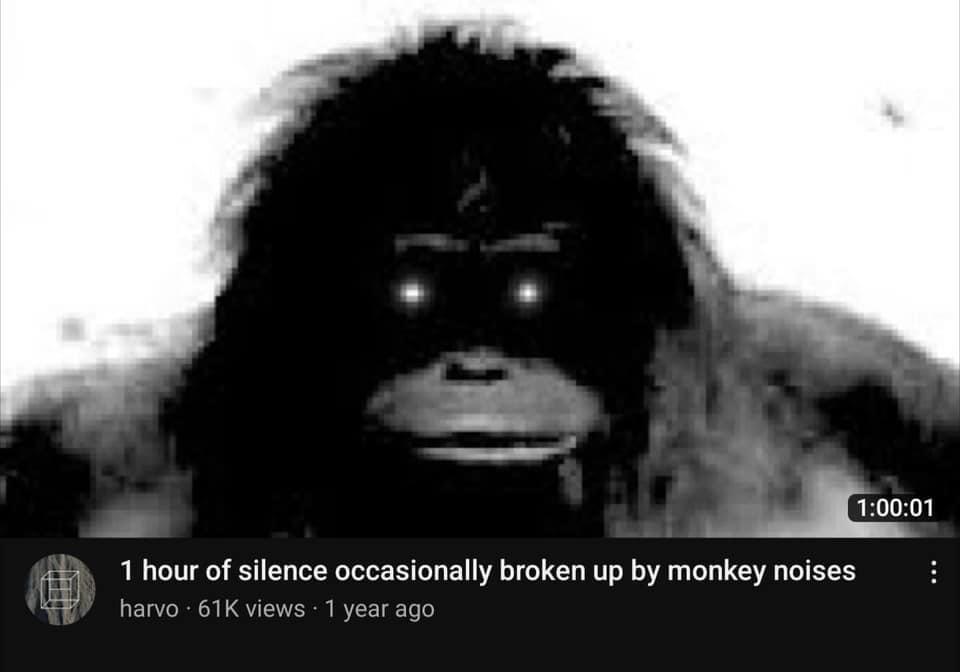 monday morning randomness - monochrome photography - 01 1 hour of silence occasionally broken up by monkey noises harvo 61K views 1 year ago