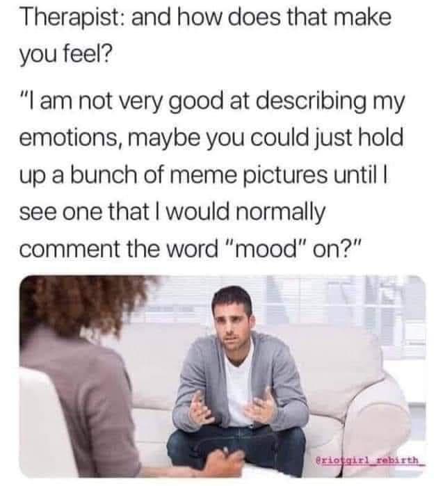 monday morning randomness - therapist memes - Therapist and how does that make you feel? "I am not very good at describing my emotions, maybe you could just hold up a bunch of meme pictures until I see one that I would normally comment the word "mood" on?