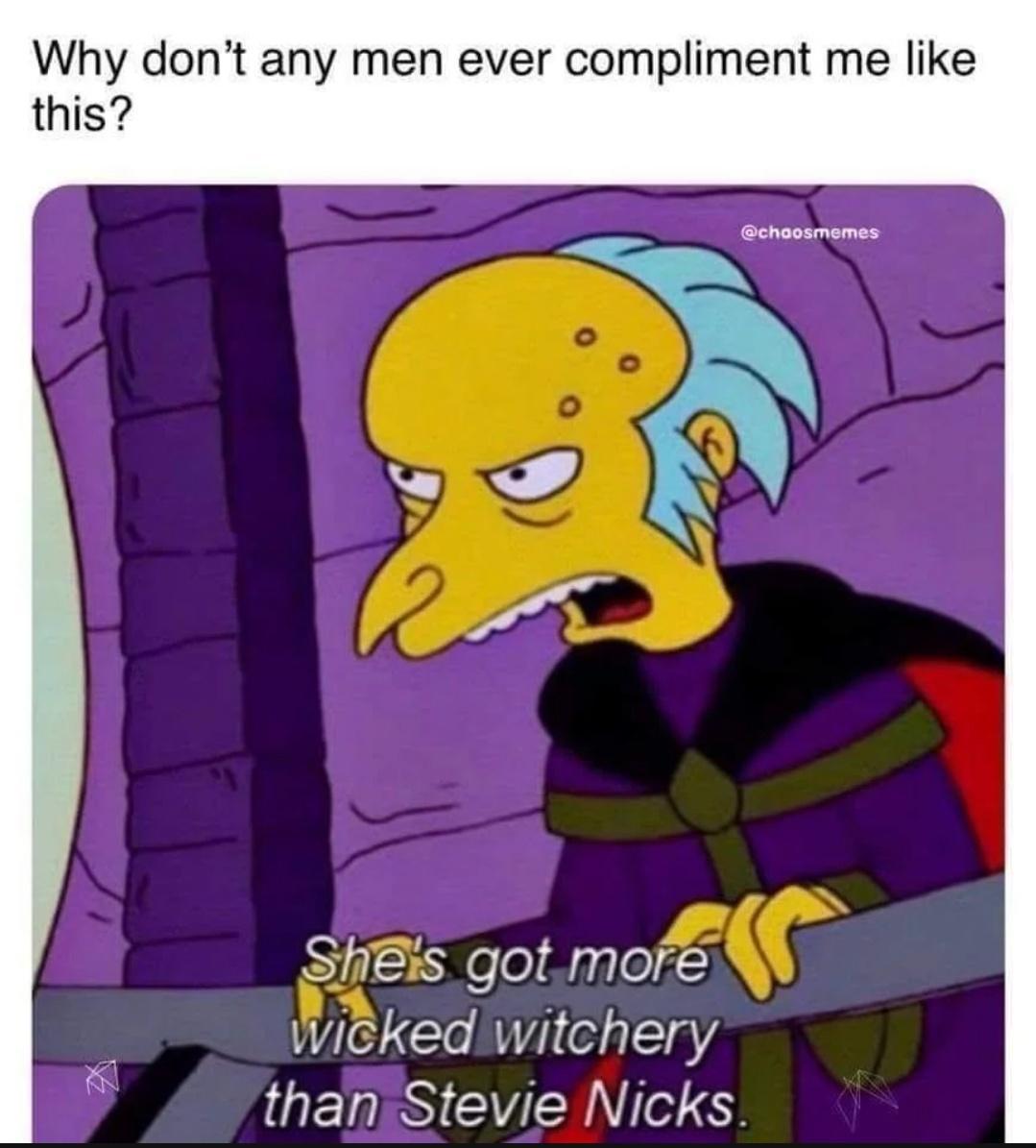 funny memes and pics - cartoon - Why don't any men ever compliment me this? She's got more wicked witchery than Stevie Nicks.