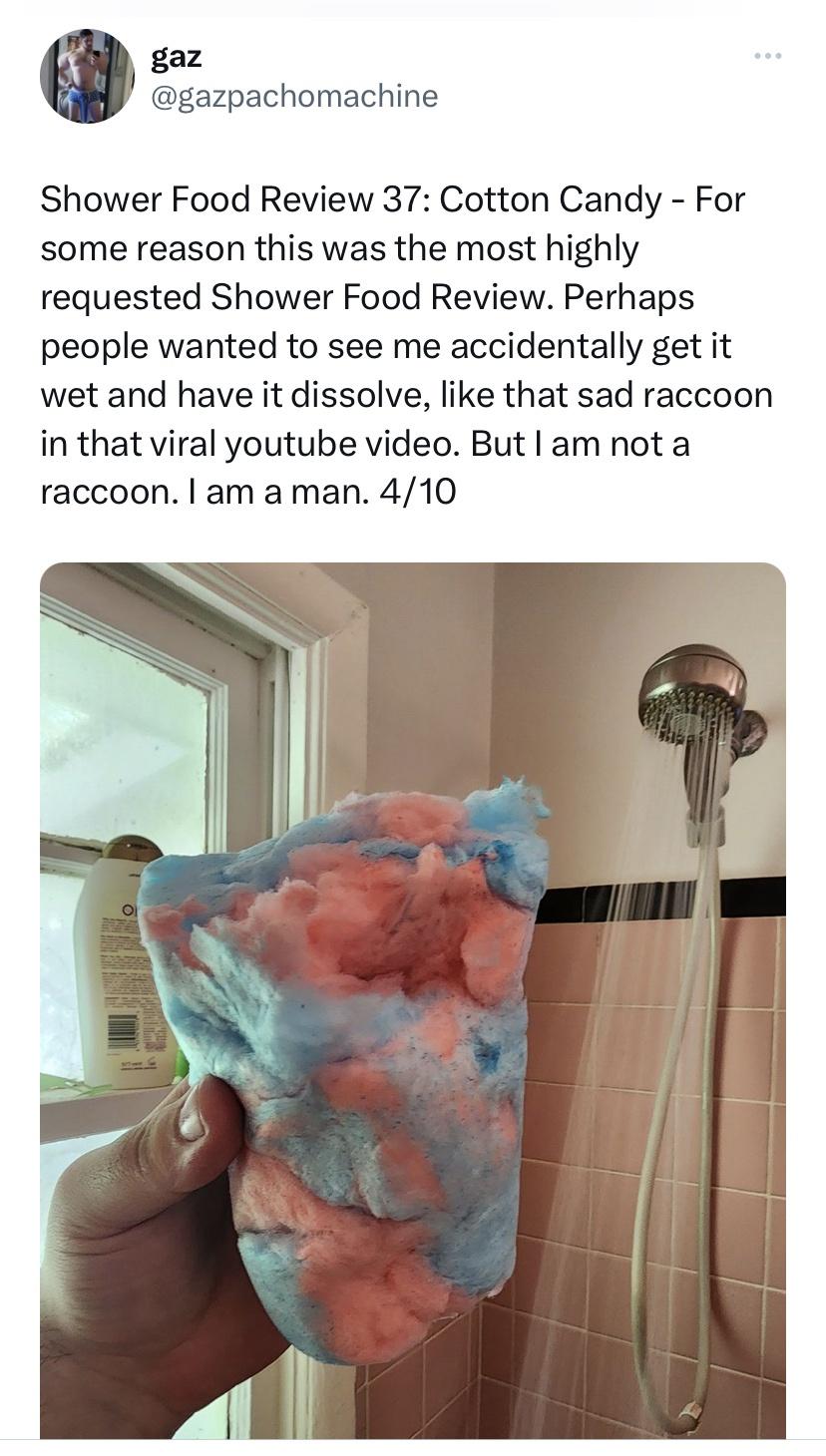 funny tweets and memes - shoulder - gaz ... Shower Food Review 37 Cotton Candy For some reason this was the most highly requested Shower Food Review. Perhaps people wanted to see me accidentally get it wet and have it dissolve, that sad raccoon in that vi