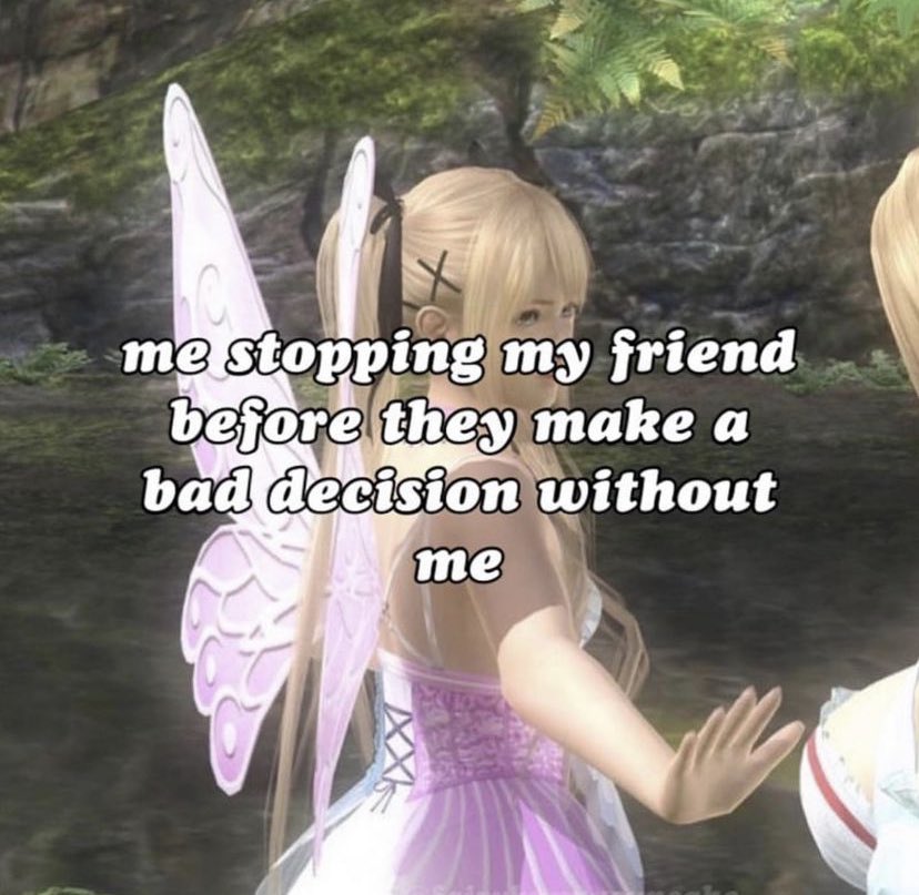 gaming memes - photo caption - me stopping my friend before they make a bad decision without me