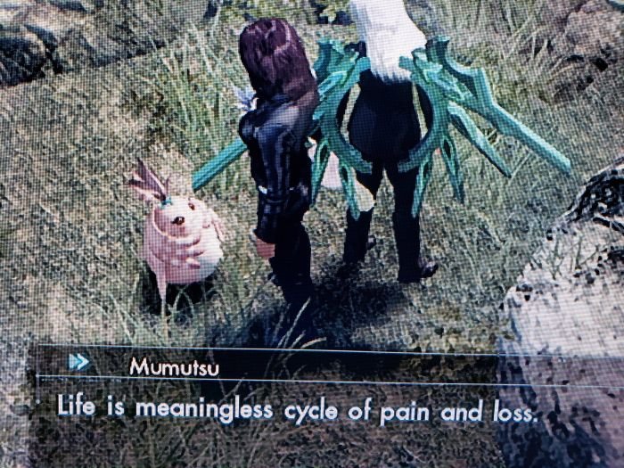 gaming memes - photo caption - Mumutsu Life is meaningless cycle of pain and loss.