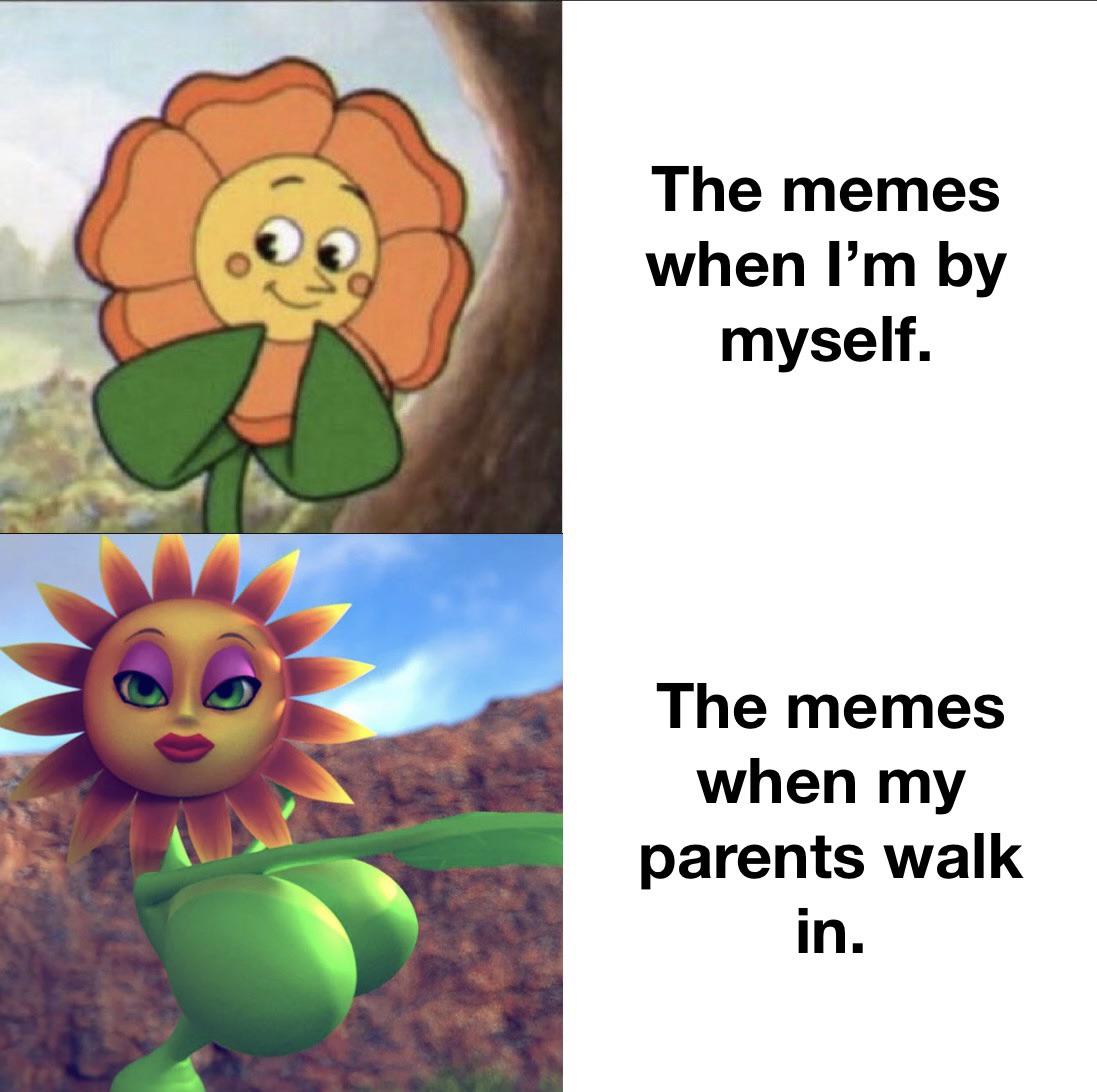 gaming memes - cartoon - The memes when I'm by myself. The memes when my parents walk in.