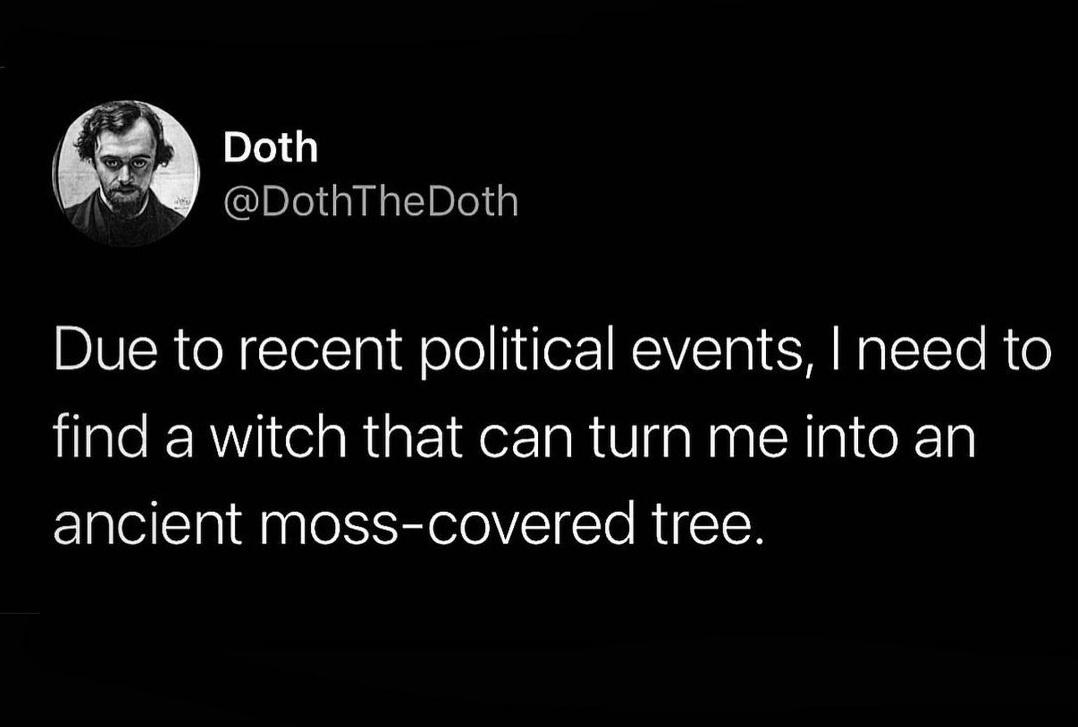 funny tweets and memes - girls only want one thing and it's - Doth Doth Due to recent political events, I need to find a witch that can turn me into an ancient mosscovered tree.
