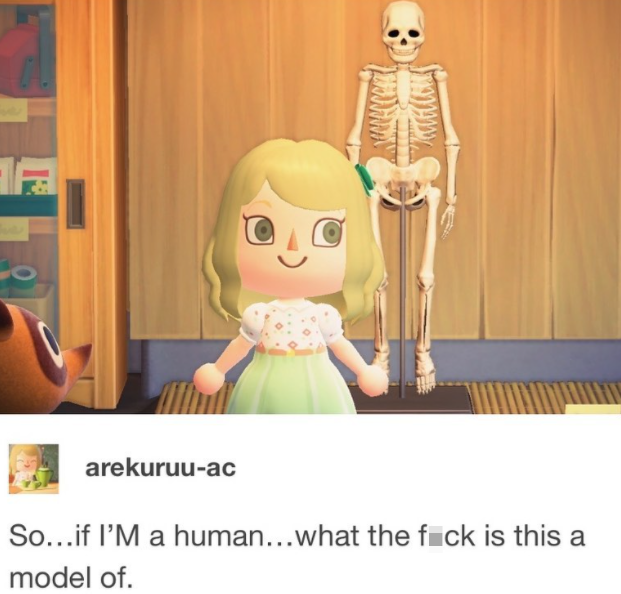 fresh memes - human bones animal crossing - arekuruuac So...if I'M a human...what the fuck is this a model of.