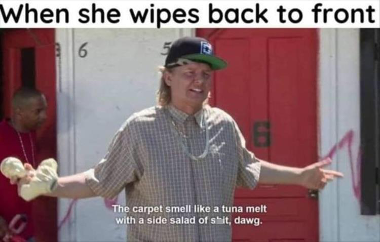 fresh memes - fashion accessory - When she wipes back to front 6 G The carpet smell a tuna melt with a side salad of shit, dawg.