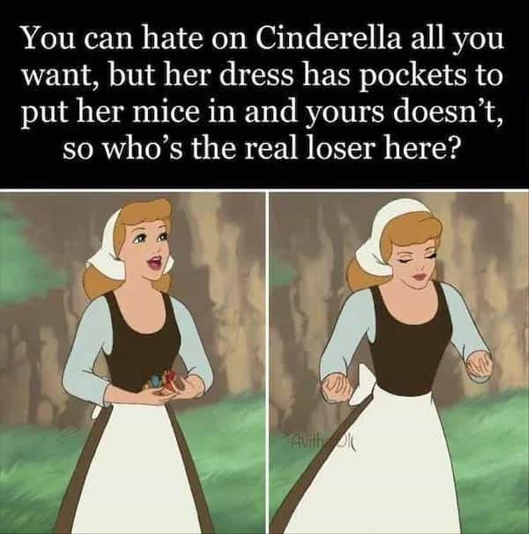 fresh memes - dress has pockets meme - You can hate on Cinderella all you want, but her dress has pockets to put her mice in and yours doesn't, so who's the real loser here? Avithy