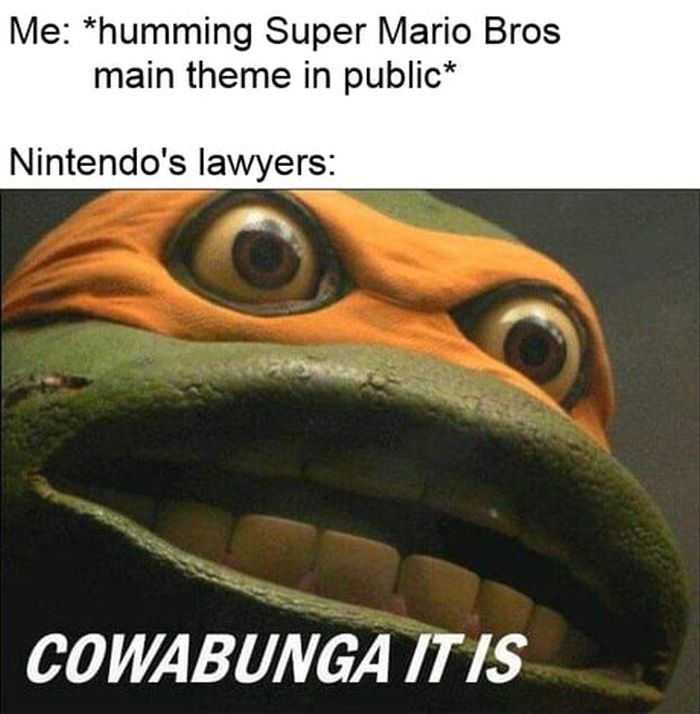 gaming memes - fauna - Me humming Super Mario Bros main theme in public Nintendo's lawyers Cowabunga It Is