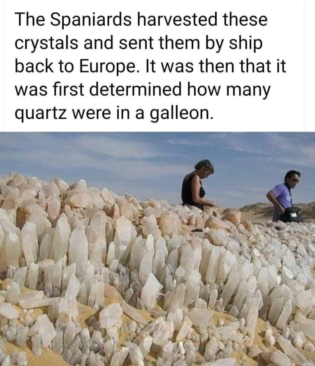 dank memes - rocky balboa puns - The Spaniards harvested these crystals and sent them by ship back to Europe. It was then that it was first determined how many quartz were in a galleon.