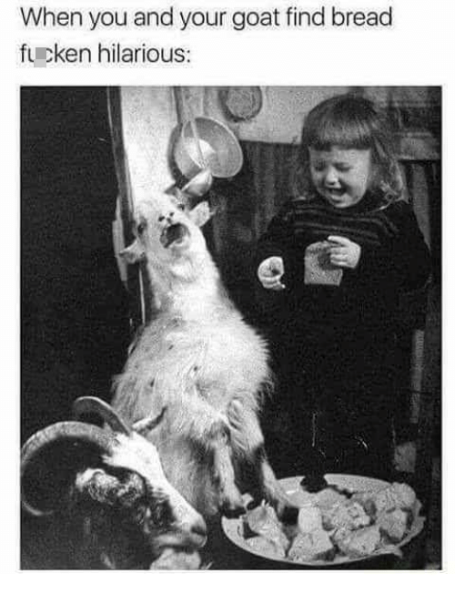 dank memes - you and your goat find bread hilarious - When you and your goat find bread fucken hilarious