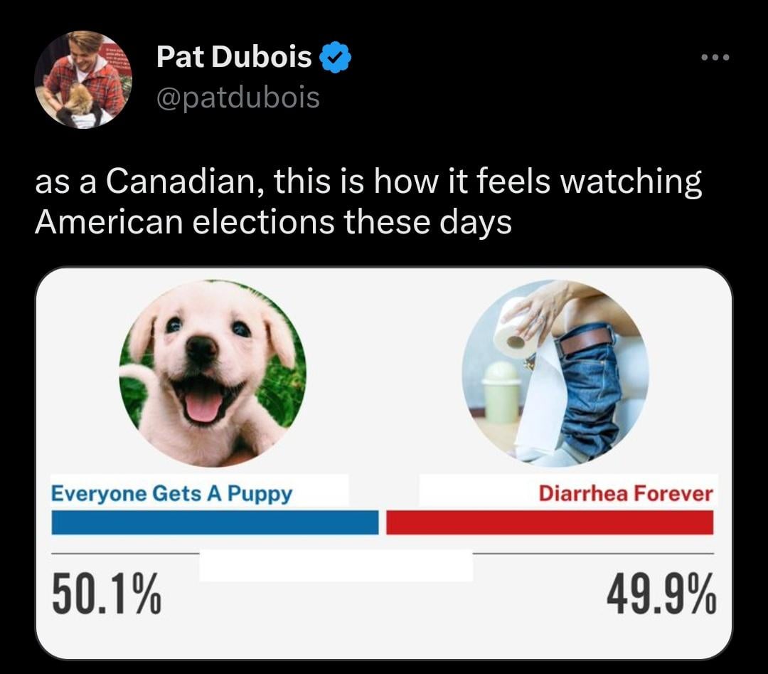 funny tweets - dog - Pat Dubois as a Canadian, this is how it feels watching American elections these days Everyone Gets A Puppy 50.1% Diarrhea Forever 49.9%