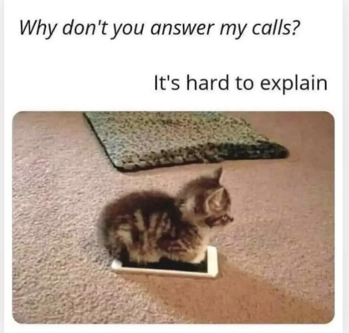 dank memes -  - - Why don't you answer my calls? It's hard to explain