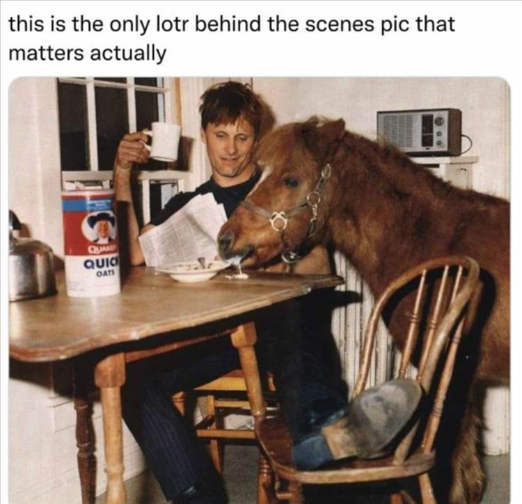 dank memes -  horse - this is the only lotr behind the scenes pic that matters actually Quake Quic Oats