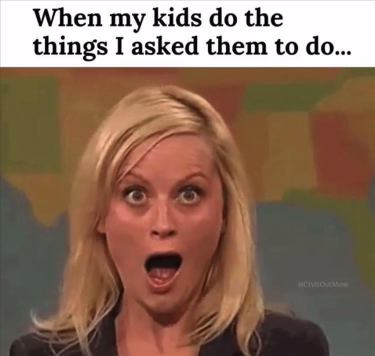 dank memes -  blond - When my kids do the things I asked them to do... CryltOut Mom