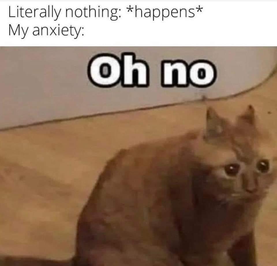 dank memes -  funny - Literally nothing happens My anxiety Oh no