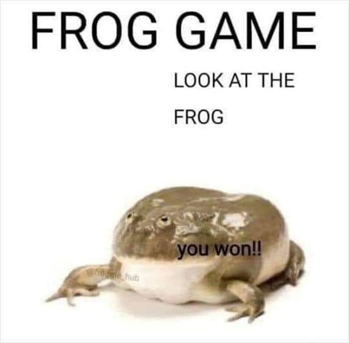 dank memes -  frog game look at the frog - Frog Game Look At The Frog frogle hub you won!!