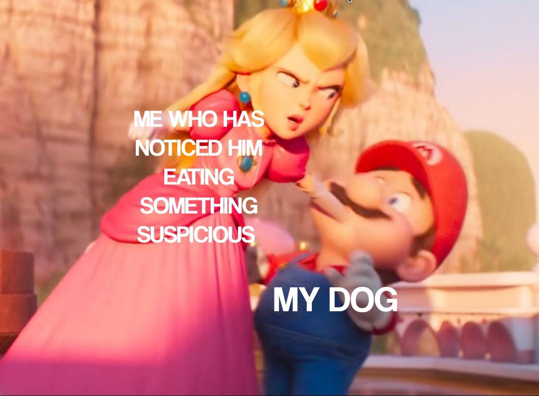 gaming memes - friendship - Me Who Has Noticed Him Eating Something Suspicious 9 My Dog