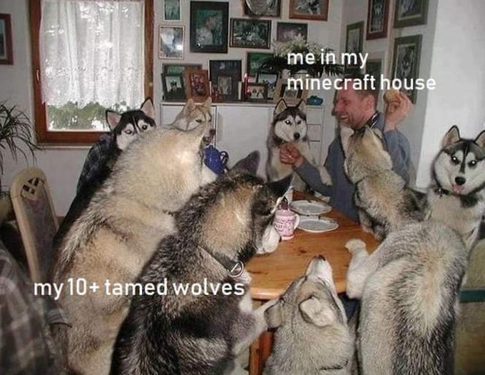 gaming memes - minecraft breeding memes - my 10 tamed wolves me in my minecraft house