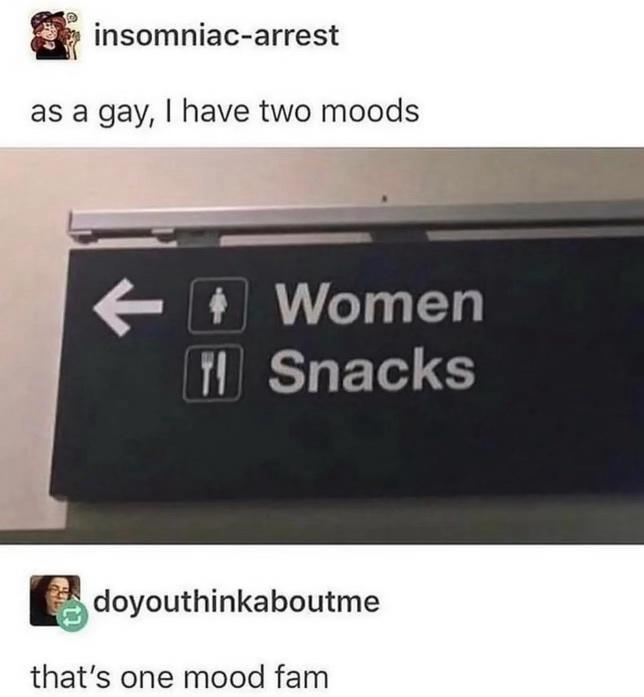 dank memes - multimedia - insomniacarrest as a gay, I have two moods Women Snacks doyouthinkaboutme that's one mood fam